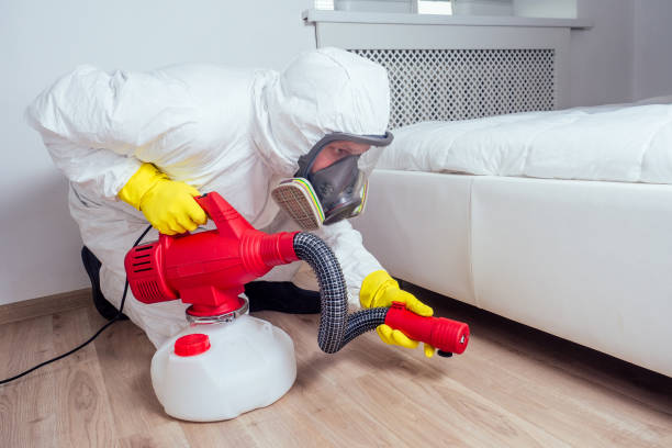 Best Pest Prevention Services  in Haubstadt, IN